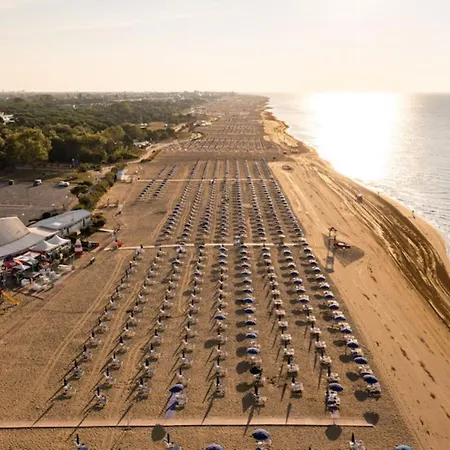 Bright With Balcony-beahost Apartment *